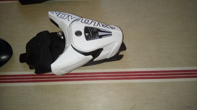 Salomon bindings (2)